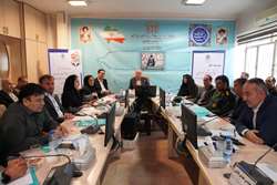 اولین کارگاه فاکتورهای اجتماعی موثر در سلامت لرستان(SDH) برگزار شد